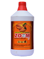 Zoom-Mango
